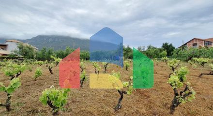 Продаж - Земельна ділянка 4444 m² на о. Корфу