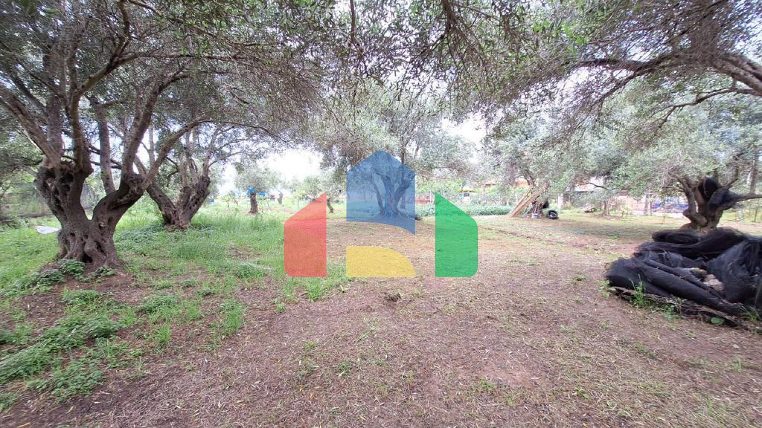 Продаж - Земельна ділянка 4444 m² на о. Корфу