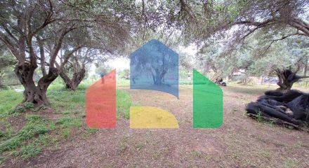 Продаж - Земельна ділянка 4444 m² на о. Корфу