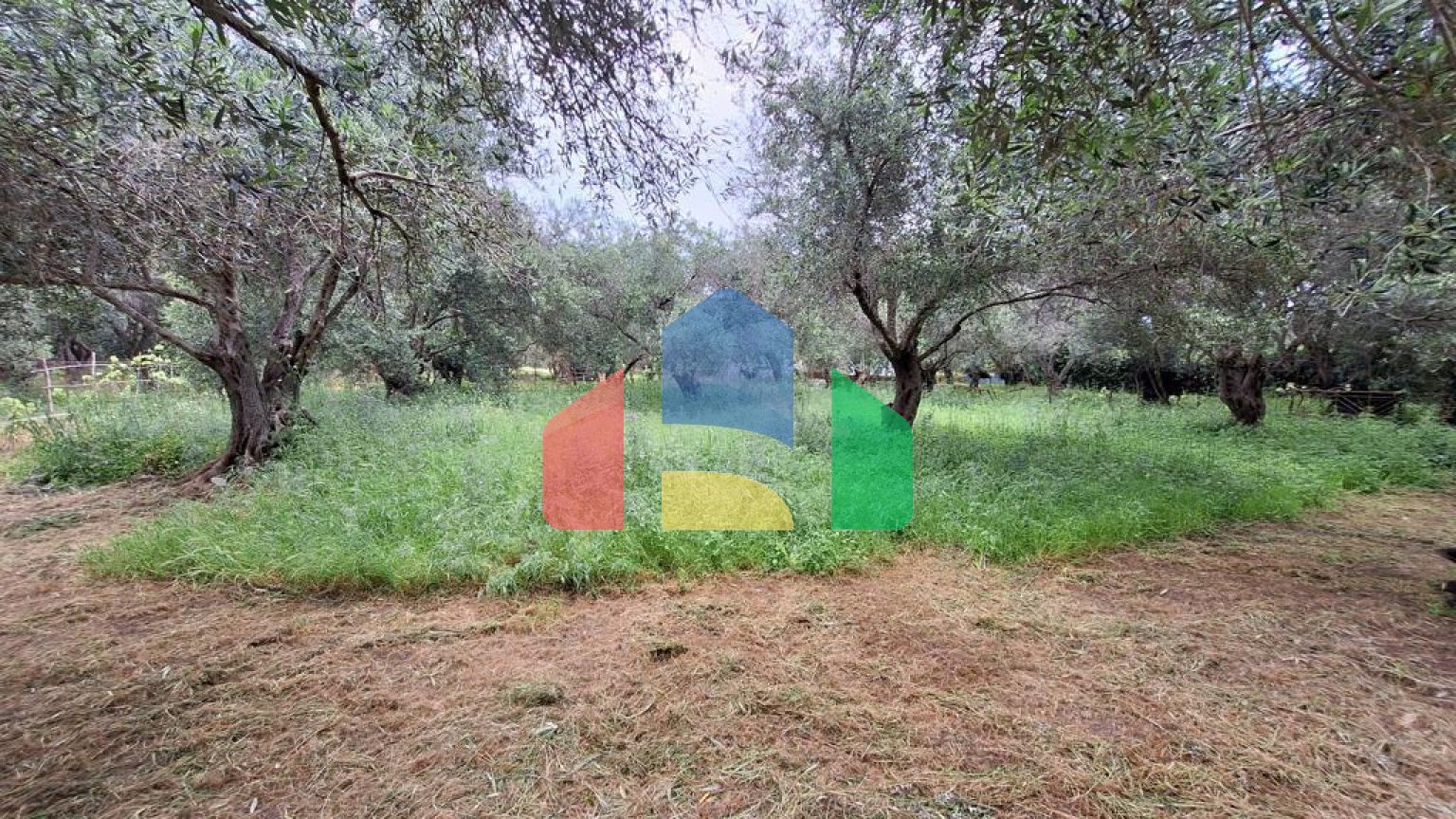 Продаж - Земельна ділянка 4444 m² на о. Корфу