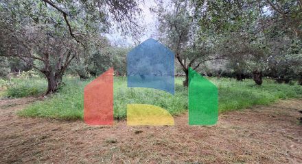 Продаж - Земельна ділянка 4444 m² на о. Корфу