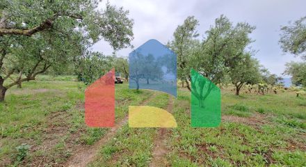 Продаж - Земельна ділянка 4444 m² на о. Корфу