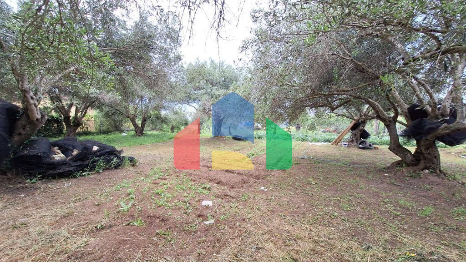 Продаж - Земельна ділянка 4444 m² на о. Корфу