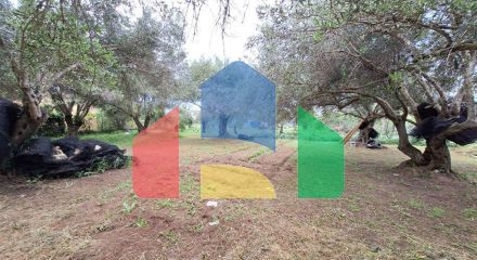 Продаж - Земельна ділянка 4444 m² на о. Корфу