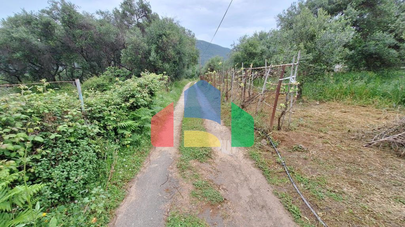 Продаж - Земельна ділянка 4444 m² на о. Корфу