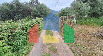 Продаж - Земельна ділянка 4444 m² на о. Корфу