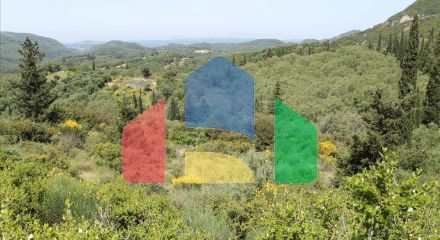 For Sale - Land 5000 m² in Corfu