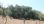 For Sale - Land 4000 m² in Corfu