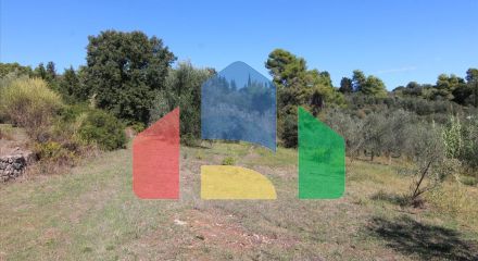 Продажа - Земельный участок 27750 m² на о. Корфу