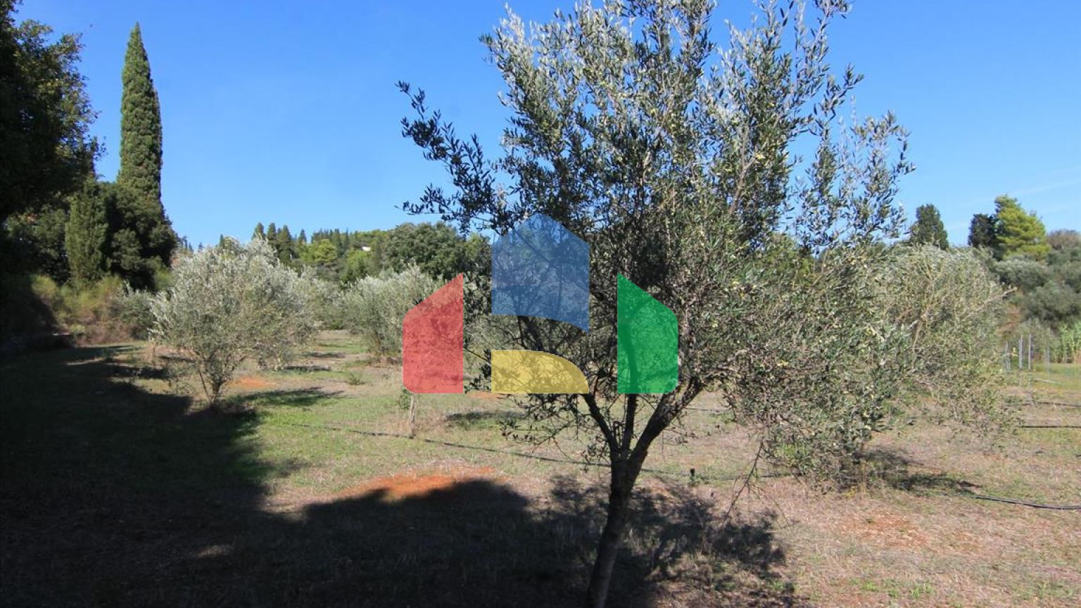 Продажа - Земельный участок 27750 m² на о. Корфу