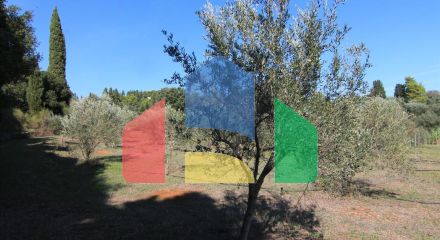 Продажа - Земельный участок 27750 m² на о. Корфу