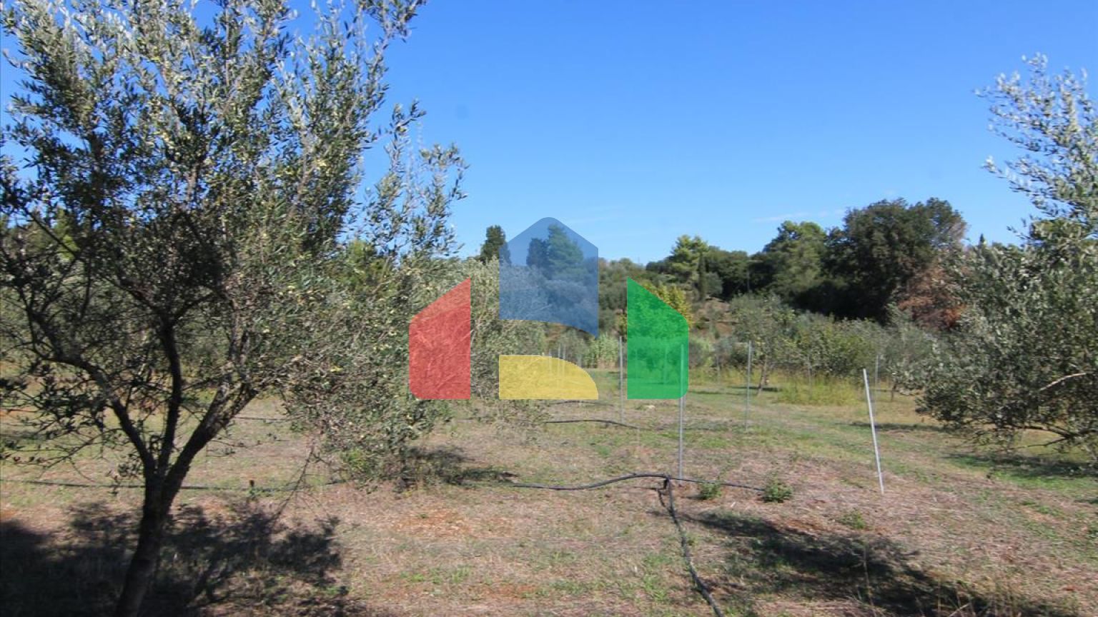 Продажа - Земельный участок 27750 m² на о. Корфу