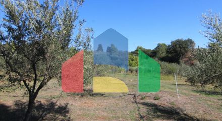 Продажа - Земельный участок 27750 m² на о. Корфу