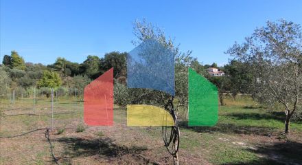 Продажа - Земельный участок 27750 m² на о. Корфу