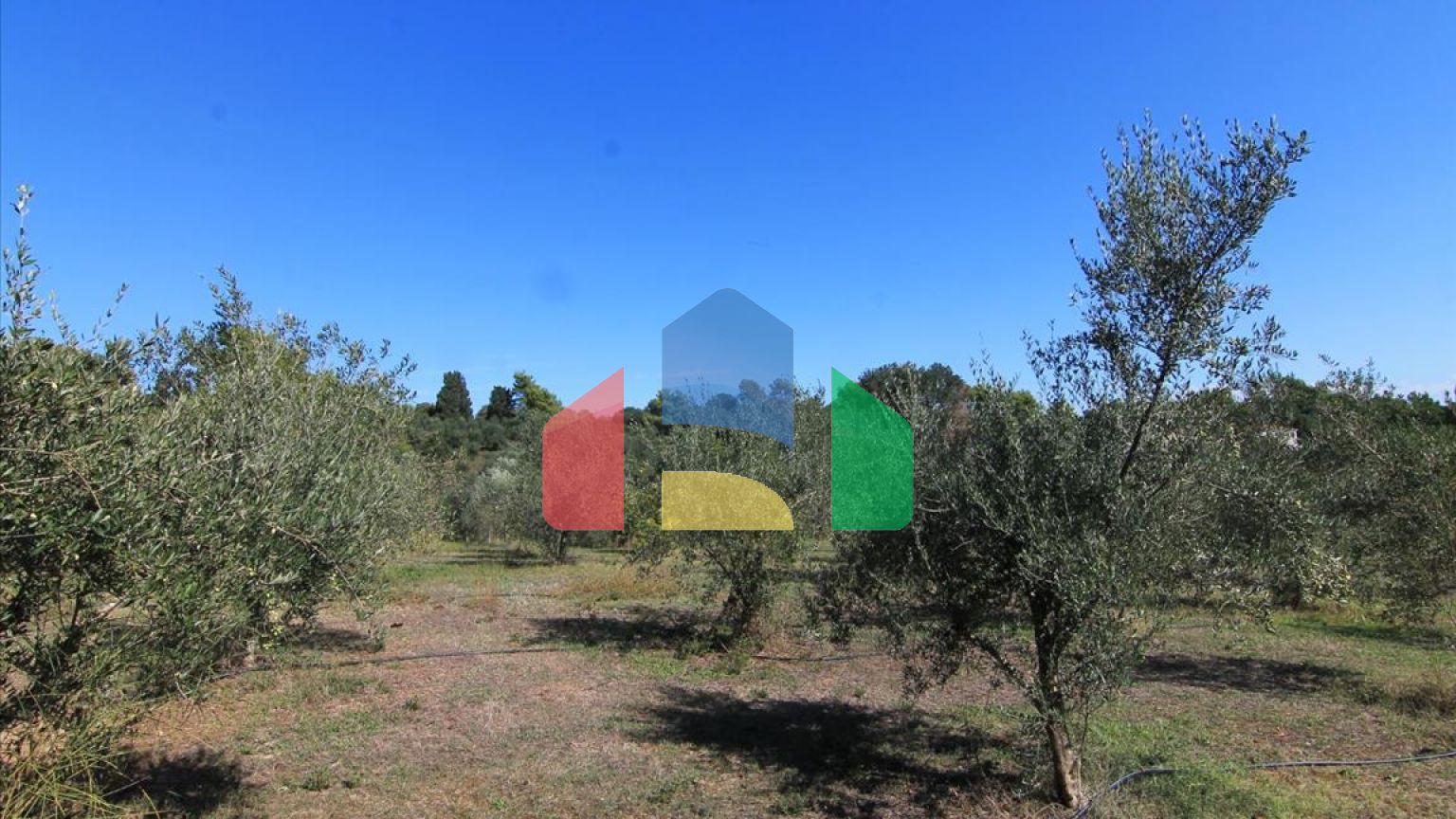 Продажа - Земельный участок 27750 m² на о. Корфу