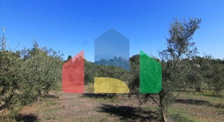 Продажа - Земельный участок 27750 m² на о. Корфу