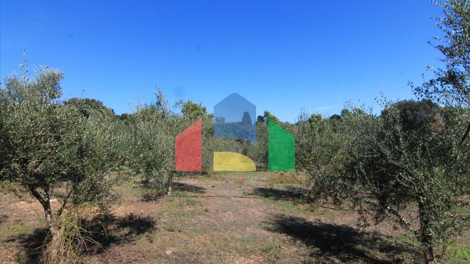 Продажа - Земельный участок 27750 m² на о. Корфу