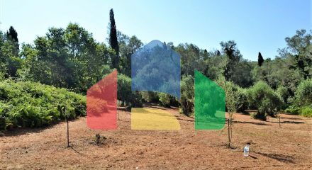 For Sale - Land 4130 m² in Corfu