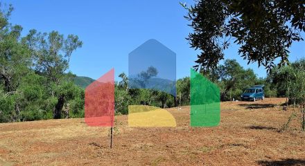 For Sale - Land 4130 m² in Corfu