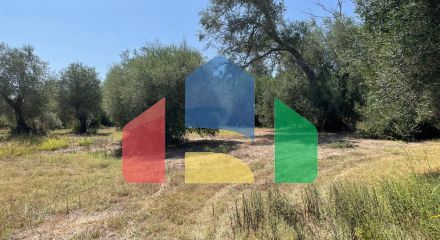 Продажа - Земельный участок 4030 m² на о. Корфу