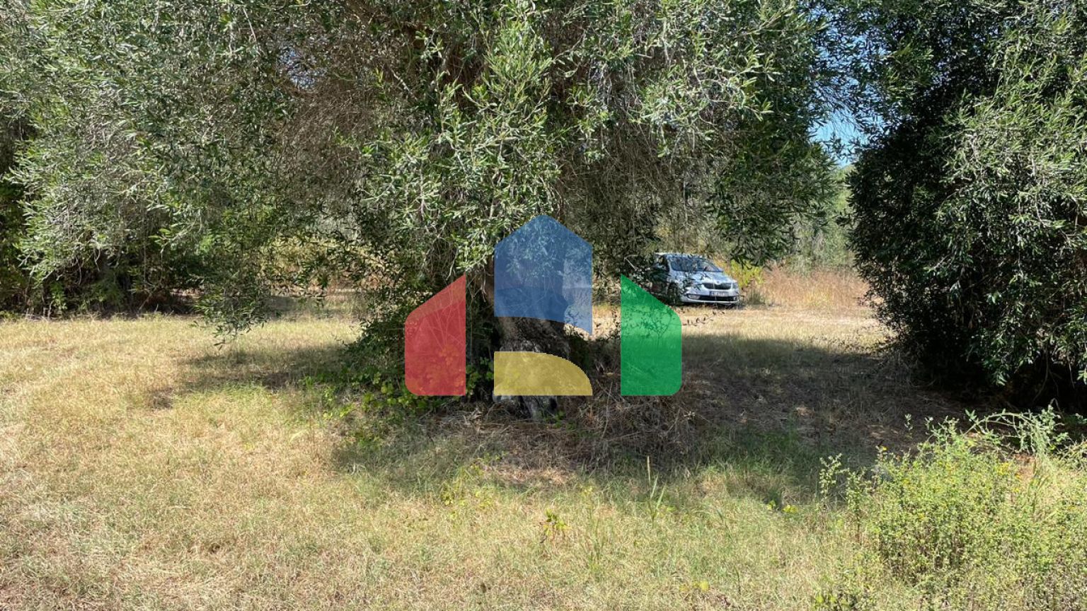 Продажа - Земельный участок 4030 m² на о. Корфу