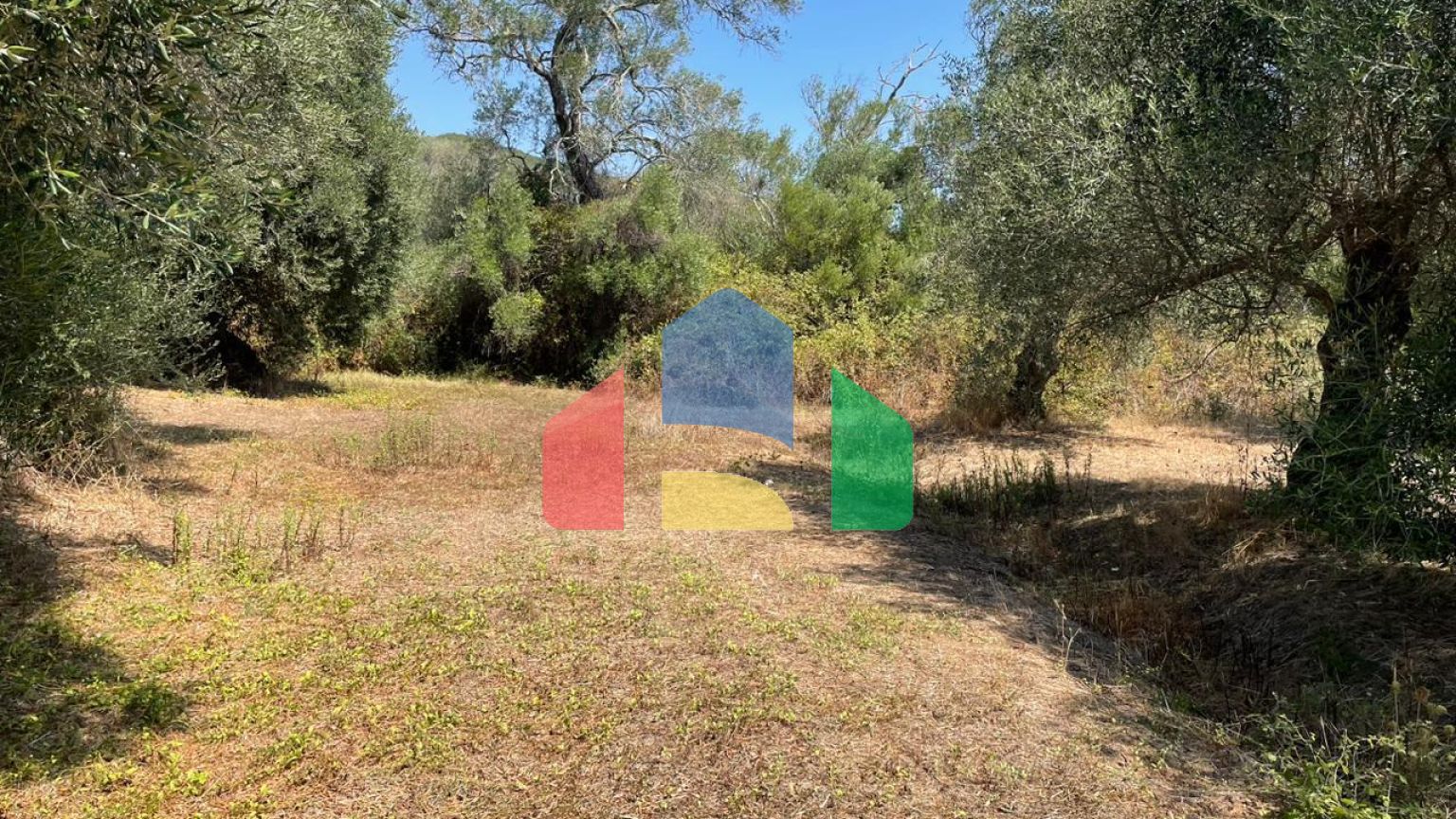 Продажа - Земельный участок 4030 m² на о. Корфу