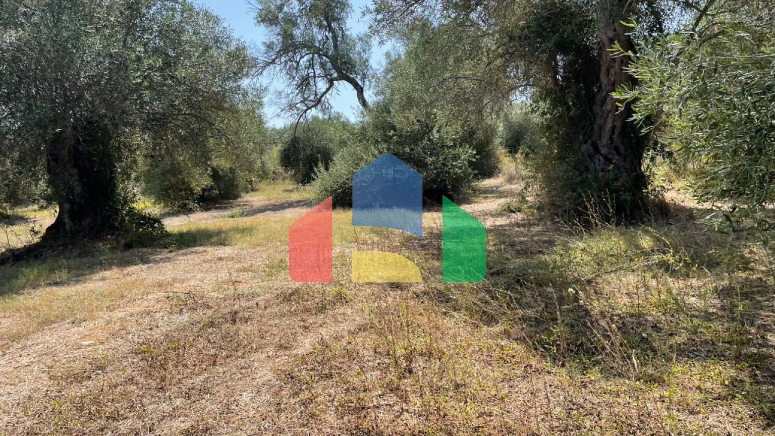 Продажа - Земельный участок 4030 m² на о. Корфу