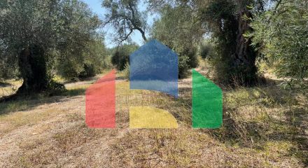 Продажа - Земельный участок 4030 m² на о. Корфу