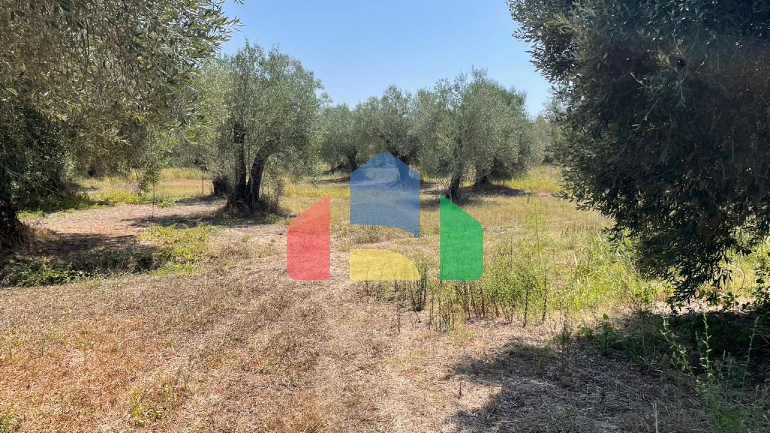 Продажа - Земельный участок 4030 m² на о. Корфу