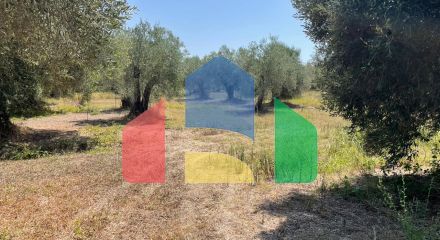 Продажа - Земельный участок 4030 m² на о. Корфу