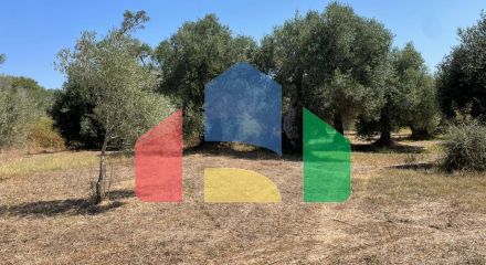 Продажа - Земельный участок 4030 m² на о. Корфу