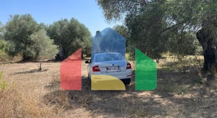 Продажа - Земельный участок 4030 m² на о. Корфу