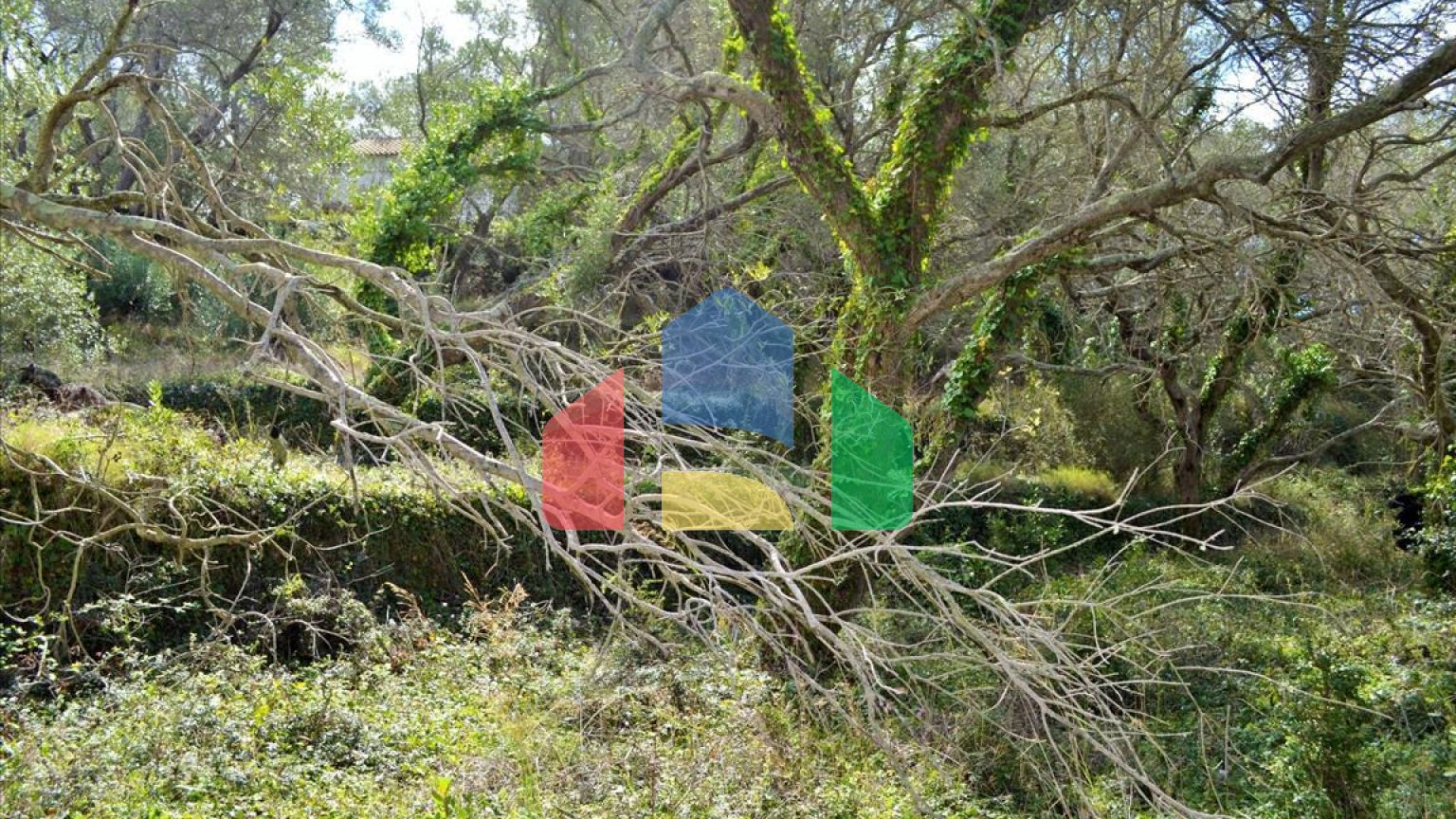 Продажа - Земельный участок 4673 m² на о. Корфу