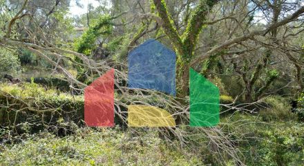 Продажа - Земельный участок 4673 m² на о. Корфу