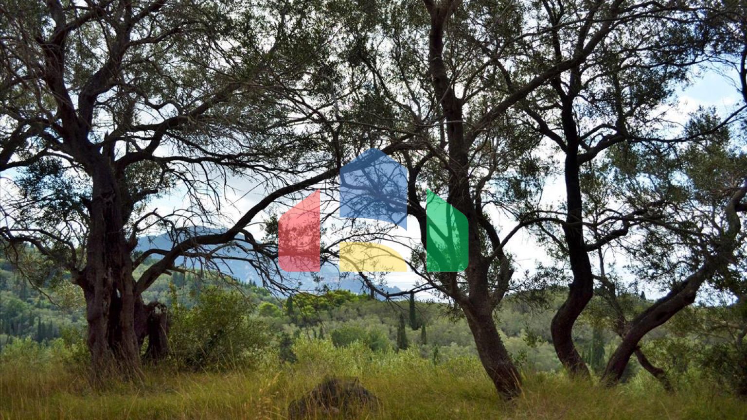 Продажа - Земельный участок 4673 m² на о. Корфу