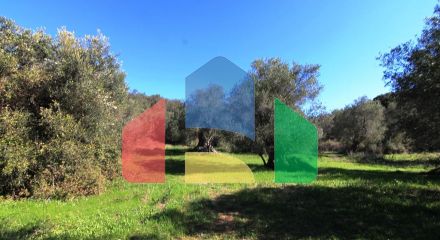For Sale - Land 44000 m² in Corfu