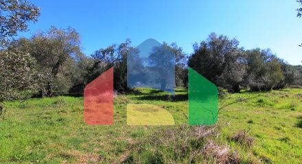 For Sale - Land 44000 m² in Corfu