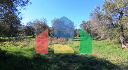 For Sale - Land 44000 m² in Corfu
