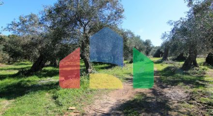 For Sale - Land 44000 m² in Corfu