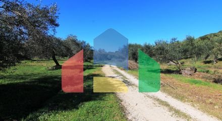 For Sale - Land 44000 m² in Corfu