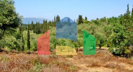 For Sale - Land in Corfu