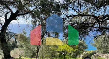 Продаж - Земельна ділянка 6260 m² на о. Корфу