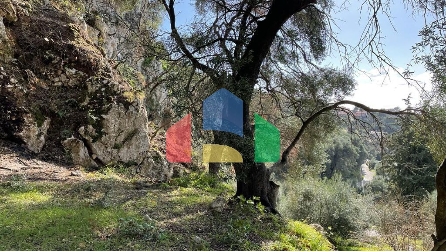 Продаж - Земельна ділянка 6260 m² на о. Корфу