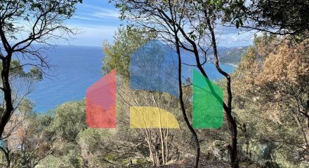 Продаж - Земельна ділянка 6260 m² на о. Корфу