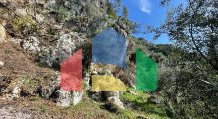 Продаж - Земельна ділянка 6260 m² на о. Корфу