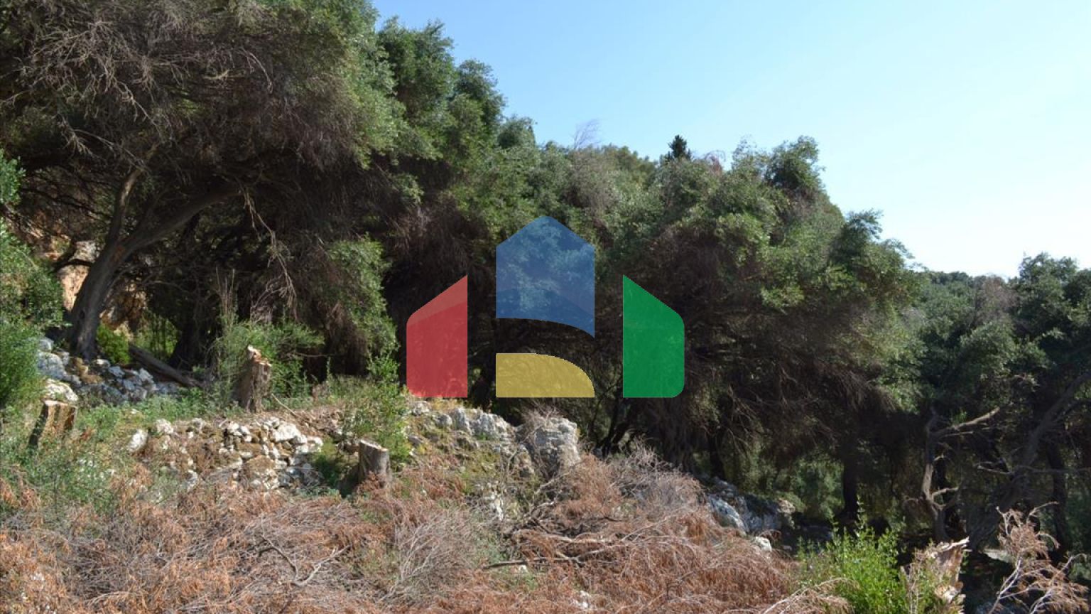 Продаж - Земельна ділянка 6260 m² на о. Корфу