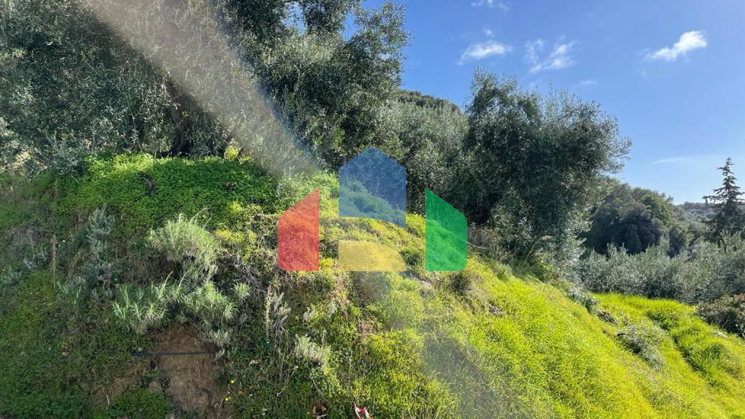 Продаж - Земельна ділянка 6260 m² на о. Корфу