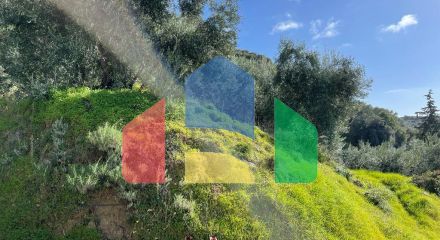 Продаж - Земельна ділянка 6260 m² на о. Корфу