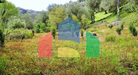 For Sale - Land 14460 m² in Corfu