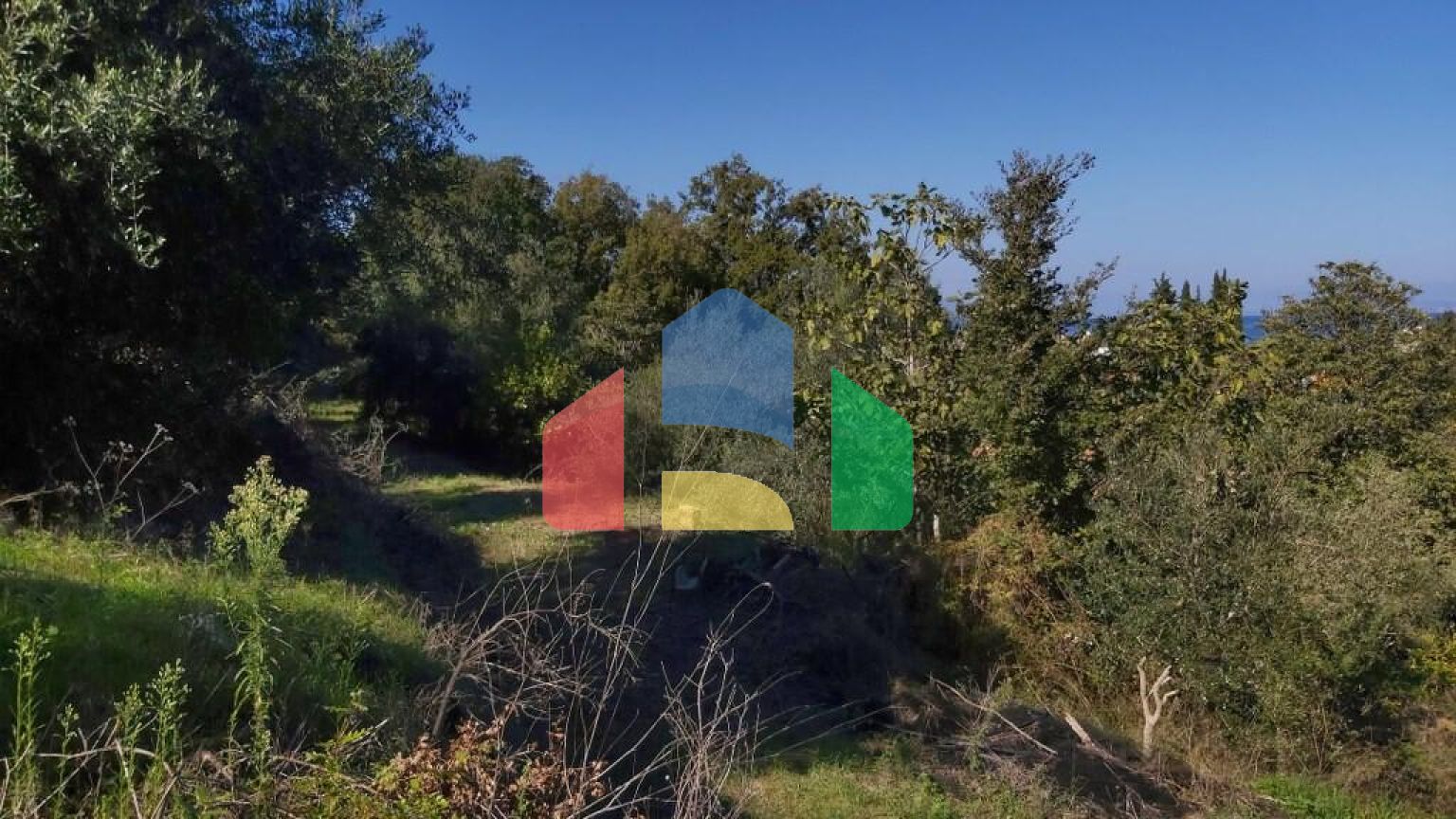 Продаж - Земельна ділянка 6500 m² на о. Корфу